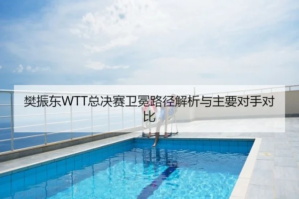樊振东WTT总决赛卫冕路径解析与主要对手对比
