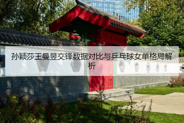 孙颖莎王曼昱交锋数据对比与乒乓球女单格局解析