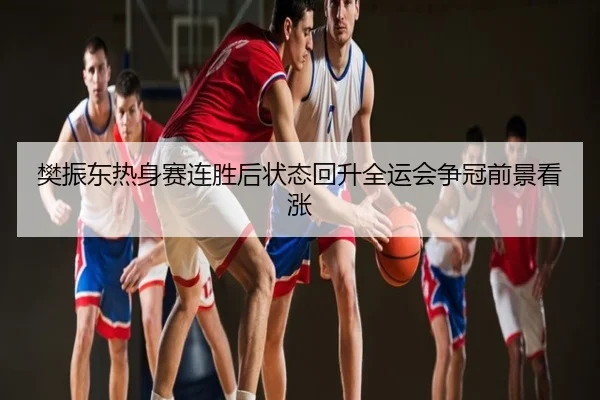 樊振东热身赛连胜后状态回升全运会争冠前景看涨